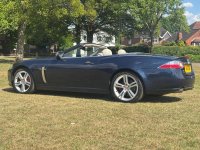 JAGUAR XK